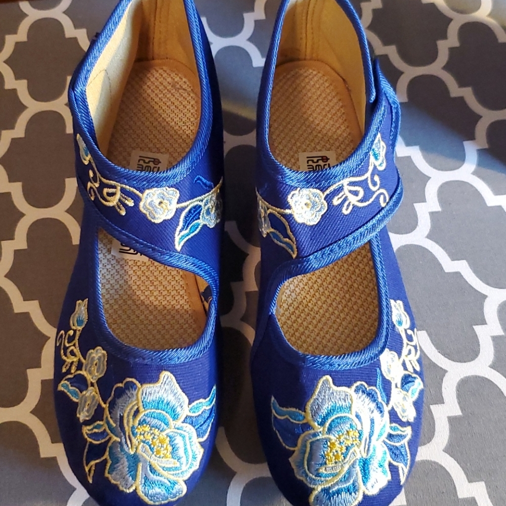 Royal blue embroidered shoes